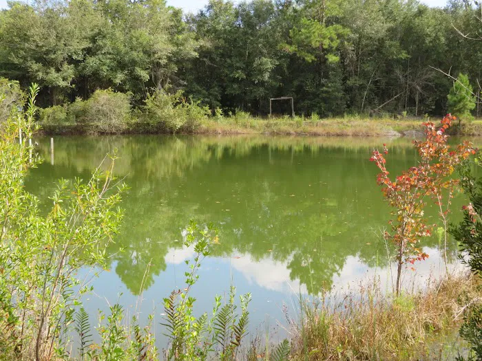 Twin Ponds RV Park and Campground Picture 2