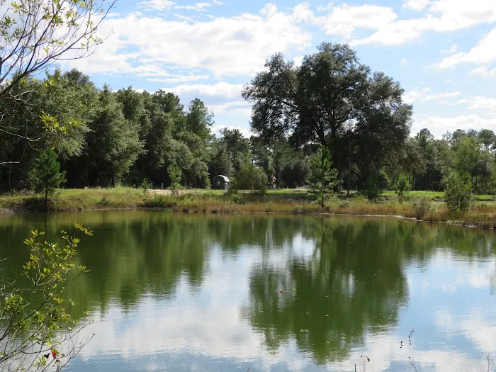 Twin Ponds RV Park and Campground Picture 8