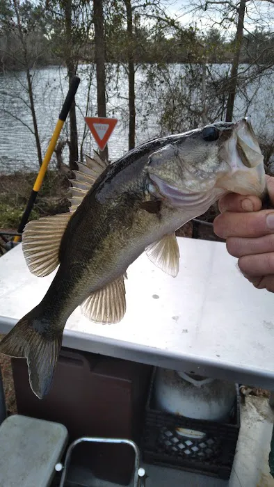 Morgan Lake Hunting & Fishing Picture 9