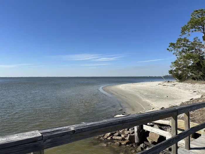 Jekyll Island Campground Picture 8