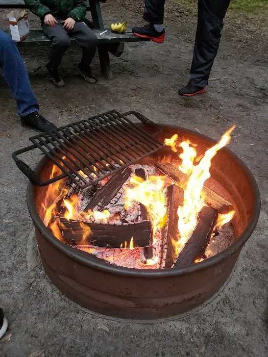 Jekyll Island Campground Picture 3