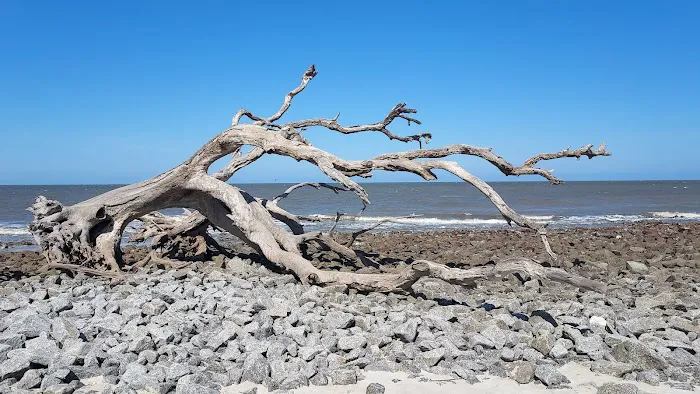Jekyll Island Campground Picture 2
