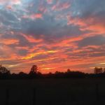 Beaver Creek RV Campground