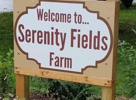 Serenity Fields Farm