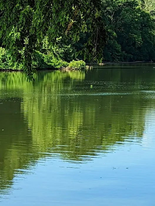 Harpeth River Bridge Campsite Picture 1