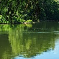 Harpeth River Bridge Campsite ico