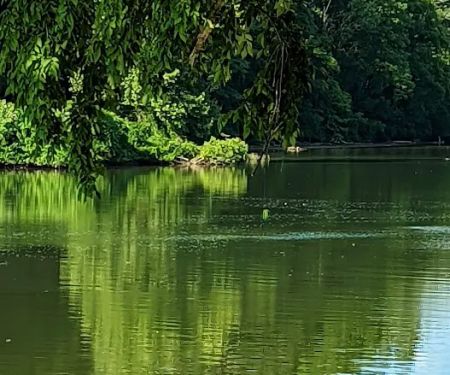 Harpeth River Bridge Campsite