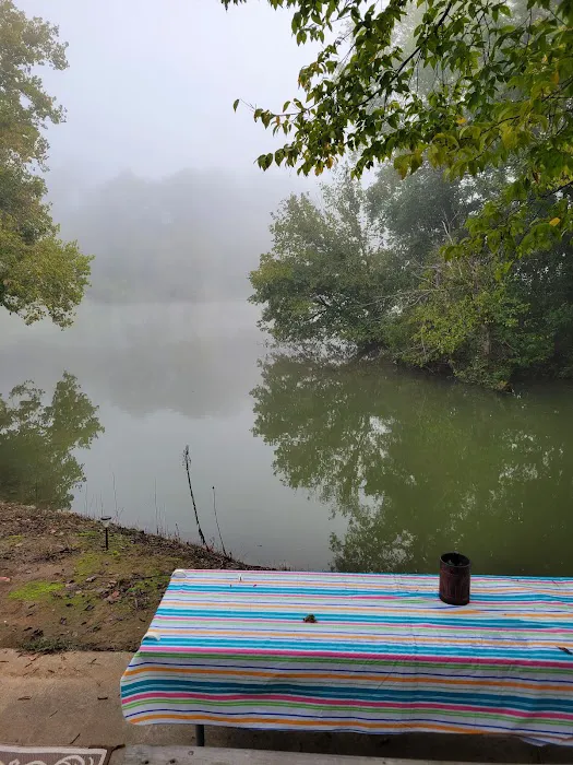 Harpeth River Bridge Campsite Picture 6