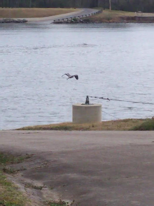 RV Park at Riverview, Ridley Rentals LLC Picture 4