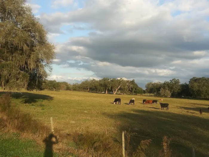 Fort Dade Mobile Home Park Picture 3
