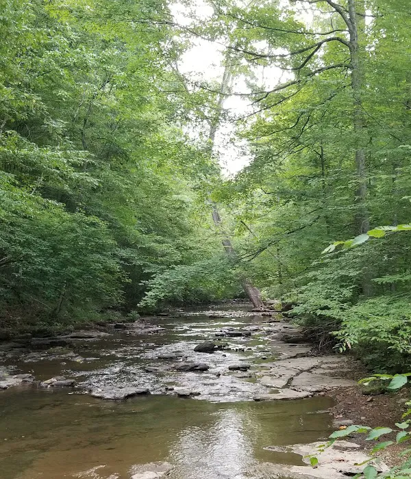Montgomery Bell Campground Picture 5