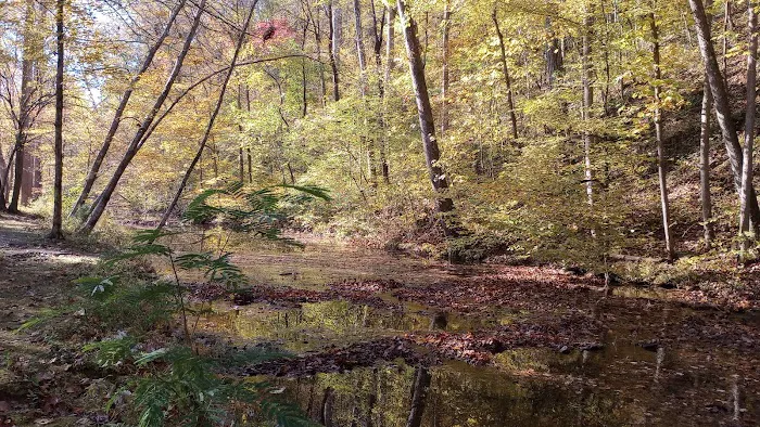 Montgomery Bell Campground Picture 2