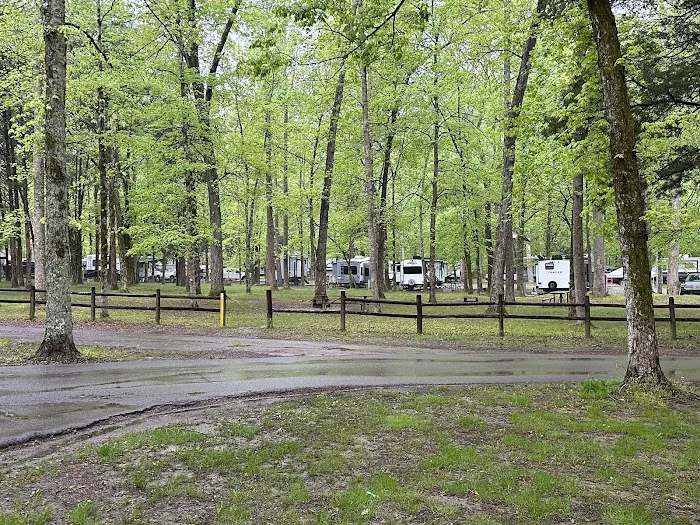 Montgomery Bell Campground Picture 8