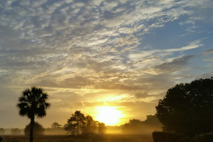 Florida Grande Motor Coach Resort Picture 5