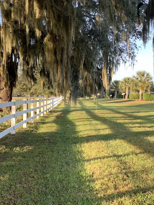 Florida Grande Motor Coach Resort Picture 8