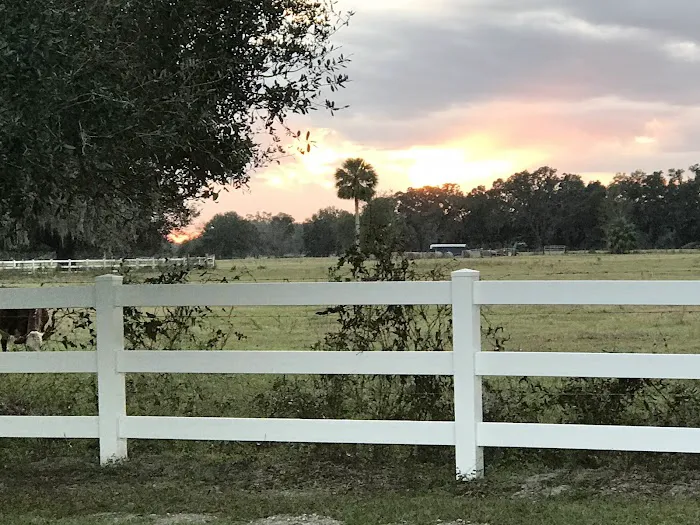 Florida Grande Motor Coach Resort Picture 7