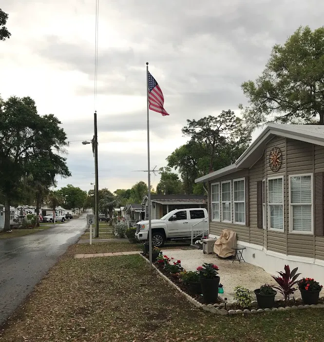 Town and Country RV Resort Picture 7