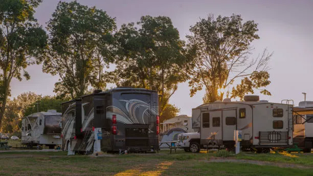 Dade City RV Resort Picture 5