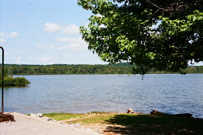 Bumpus Mills Campground Picture 6