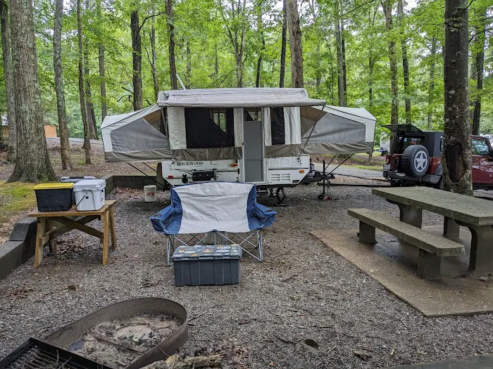 Bumpus Mills Campground Picture 8