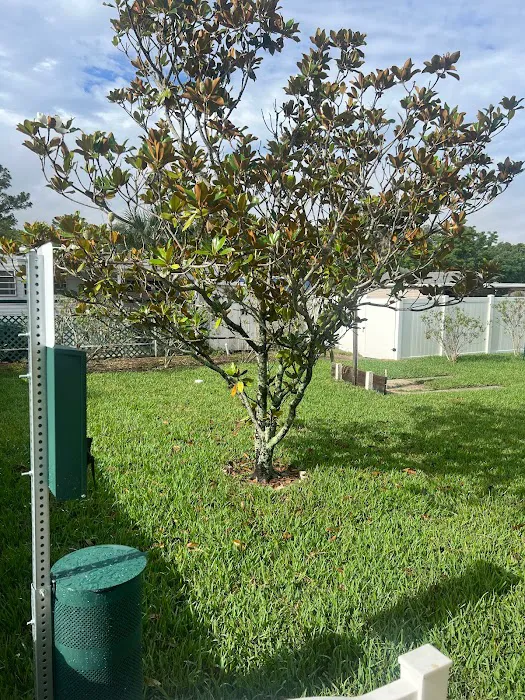 Gulf Breeze RV Park Picture 10