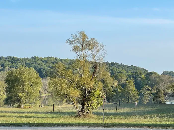 Cedar Lake Campground Picture 4