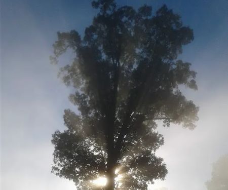 Shawnee Forest Campground