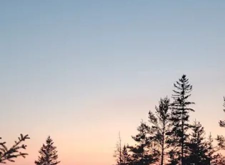 Wilderness State Park Campground