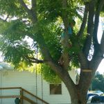 72 Shady Acres mobile home park