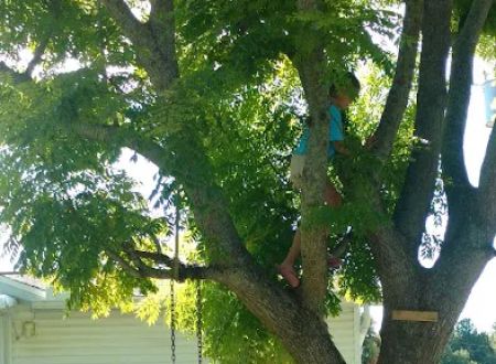 72 Shady Acres mobile home park