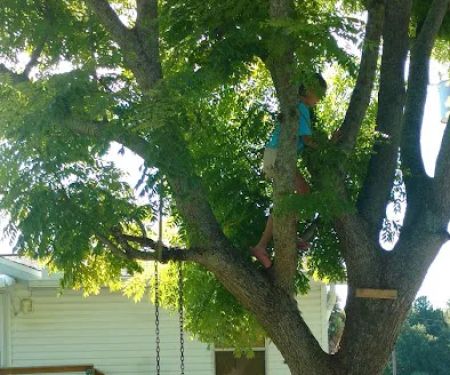 72 Shady Acres mobile home park