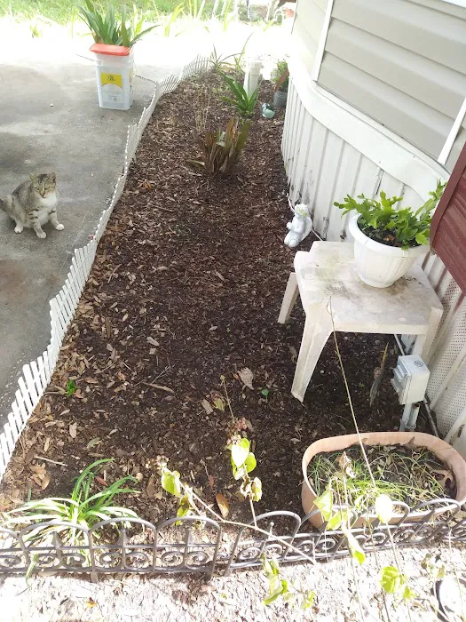 Forest Green Acres Picture 3
