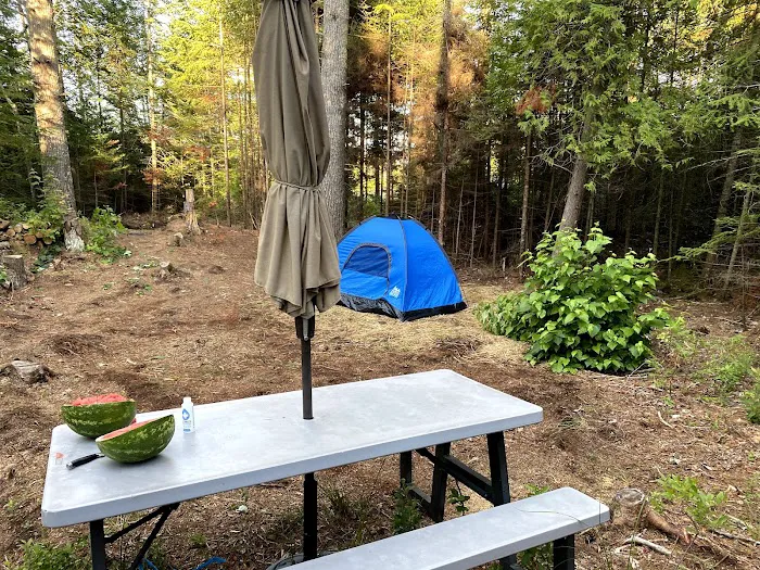 Just Show Up Campground Picture 5