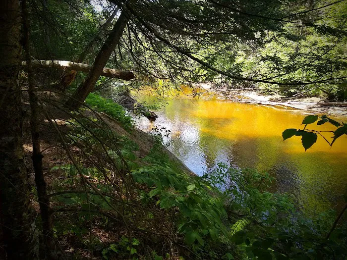 Carp River Campground Picture 9