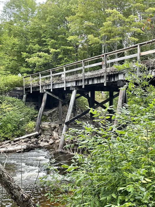 Carp River Campground Picture 2