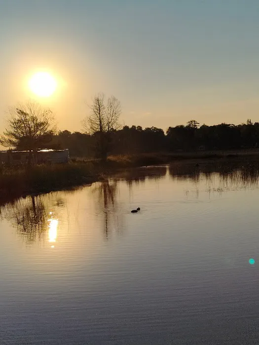 Loons Point RV Park and Campground Picture 3