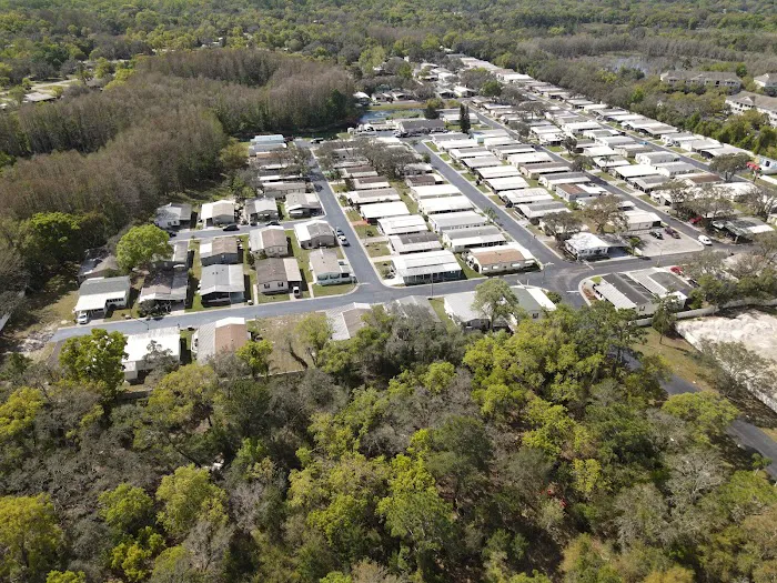 Bayonet Point Village Picture 6