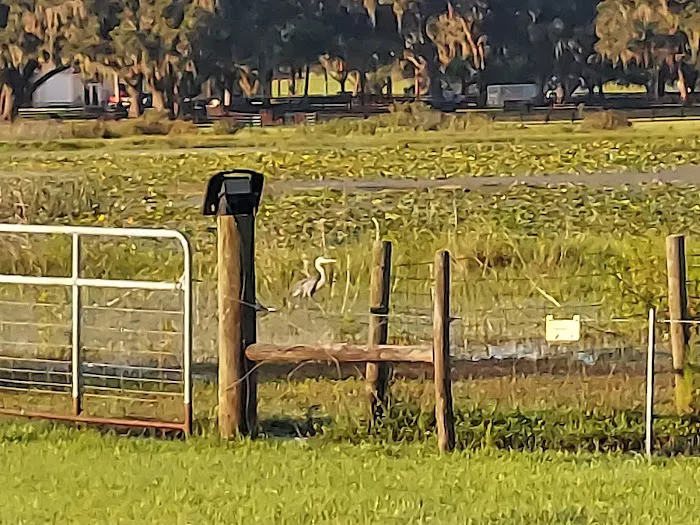 Lakeside Oaks Mobile Home Park Picture 5
