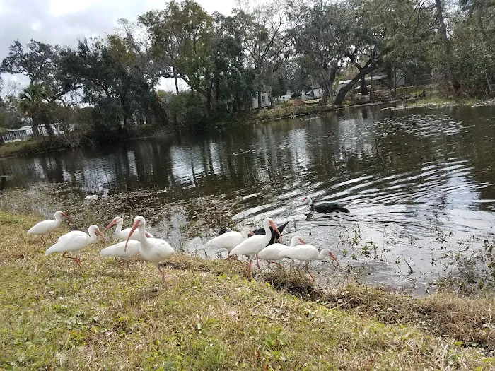 Oak Crest Mobile Park Picture 10