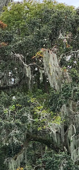Oak Crest Mobile Park Picture 1