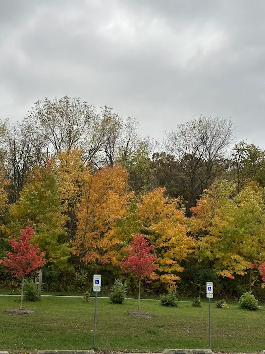 Hickory Hills Picture 5