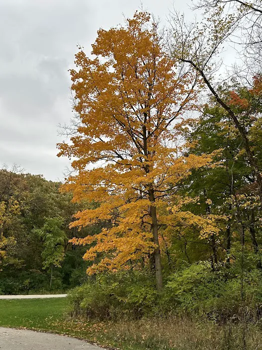 Hickory Hills Picture 8