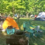 Plum Grove