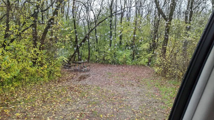 White Oak Picture 1