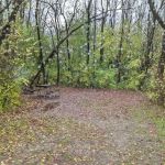 White Oak