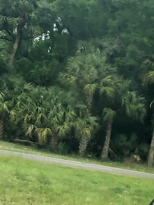 Hidden River RV Park Picture 6