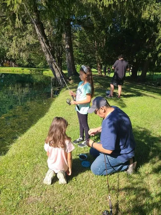 Melody Park Picture 4