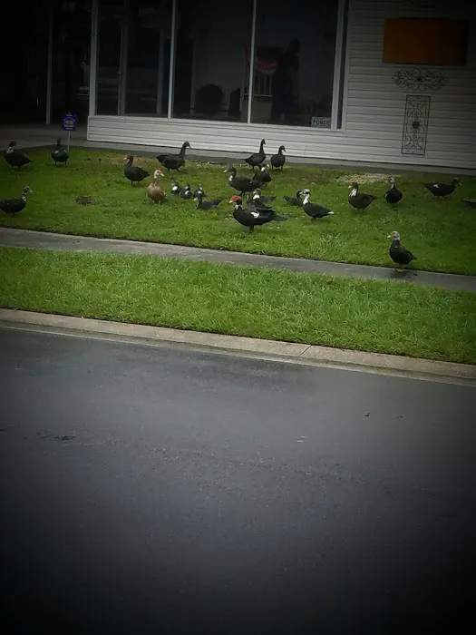 Lynnwood Estates Picture 3