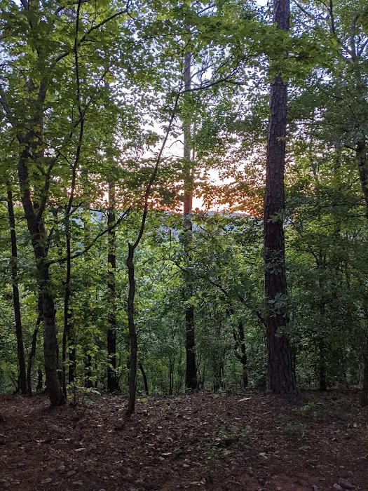 River Ridge Campground Picture 5