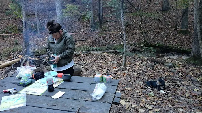 Backcountry campsites Picture 2